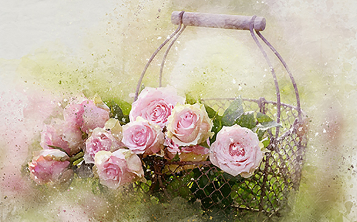 ์ ๋ฌผ ๋ฐ๊ตฌ๋ watercolor-roses